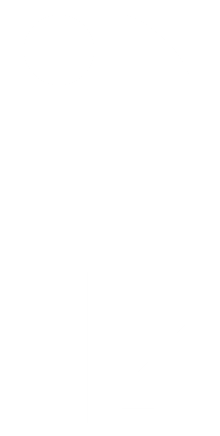 Logo Russian Cello Academy